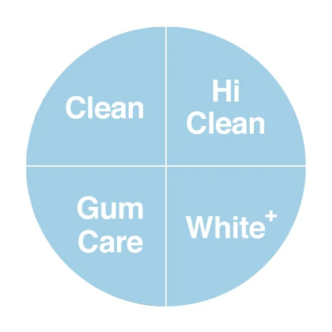 Features-Functions-ION